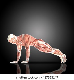 Muscle Map Images Stock Photos Vectors Shutterstock