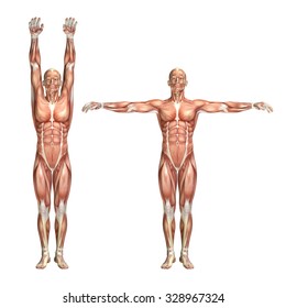 3D Render Of A Medical Figure Showing Shoulder Abduction And Adduction