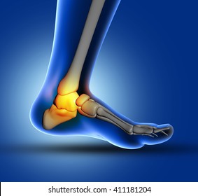 3D Render Of A Medical Image Of Close Up Of Ankle Bone In Foot