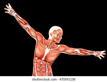 3D Render Of A Medical Male Figure Showing Shoulder Abduction