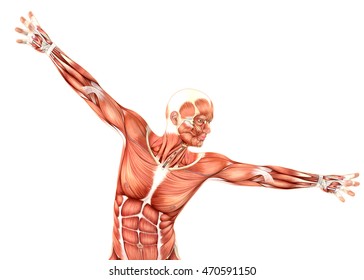 3D Render Of A Medical Male Figure Showing Shoulder Abduction