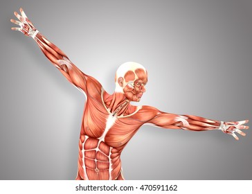 3D Render Of A Medical Male Figure Showing Shoulder Abduction