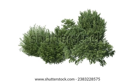 3d render mini garden with many kinds of shrubs on white background with clipping path