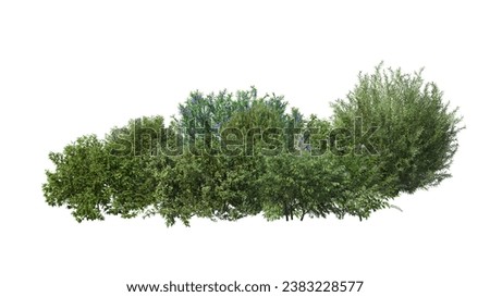 3d render mini garden with many kinds of shrubs on white background with clipping path