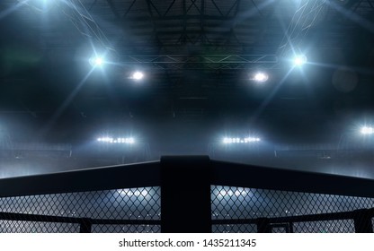 3D render MMA arena. MMA octagon cages.