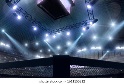 3D Render MMA Arena. MMA Octagon Cages.