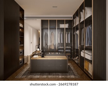 3d render modern cloakroom interior