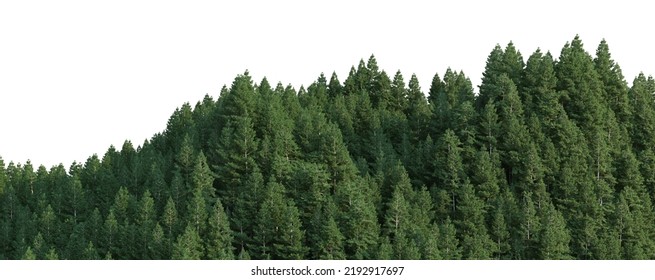 3D render mountains with pine trees on white background
