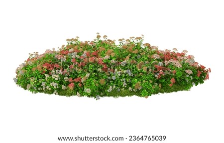 3D render multicolored flowers in small garden on white background with clipping path