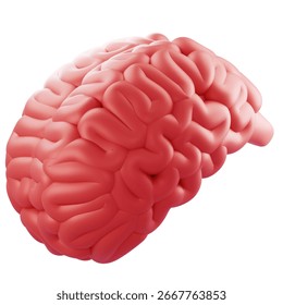 3D Render 3D pink brain model suitable for neuroscience education, medical marketing, and tech-promotional visuals.