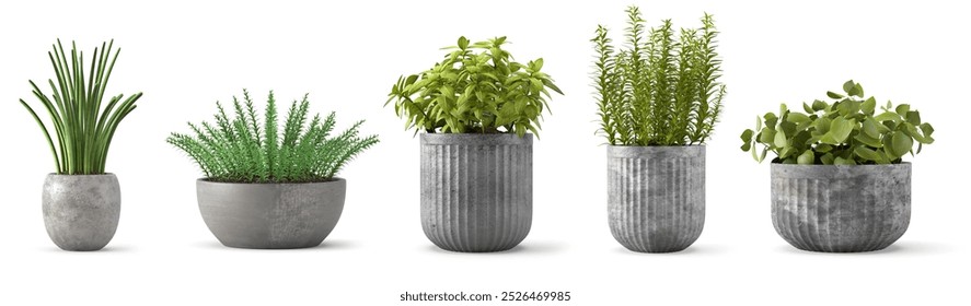 3d render Plant pot in different angles isolated on white background 
