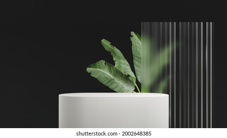 3D render podium, showcase on dark black background with green tropical leaves of plants. Abstract natural,organic background for advertising products, spa body care, relaxation, health.