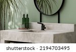 3D render polished cement wash basin in stand alone vanity counter with round mirror in sage green bathroom. Tropical green leaves plants, Sunlight, Foliages. Blank empty space, Products display.