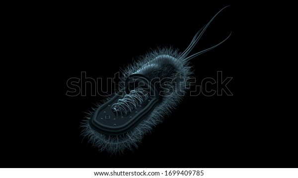 174 Prokaryote Cell Black Background Images, Stock Photos & Vectors ...