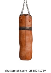 3d Render of punching bag isolated