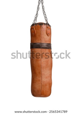 3d Render of punching bag isolated