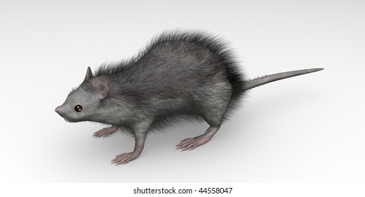 3d render of rat animal