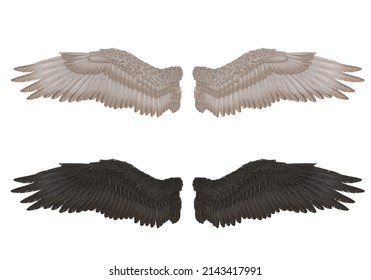 2,251 Falcon 3d Images, Stock Photos & Vectors | Shutterstock