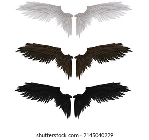 3D Render : Realistic Isolated Angel Wings Pair Of Falcon Wings, Wings Design Template