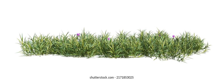 1,032 Flower warts Images, Stock Photos & Vectors | Shutterstock