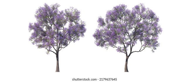  3d Render Shrub And Tree Split Up On A White Background