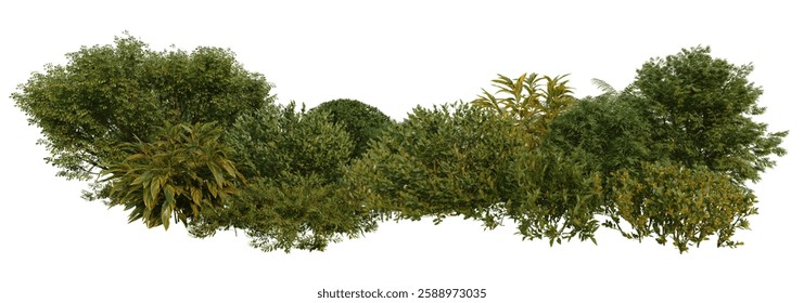 3D render of a small garden with many kinds of plants and shrubs on white background with clipping path
