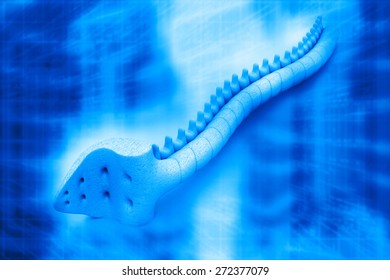 3d render of spine 	