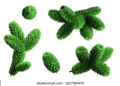 3d Render, Spruce Twigs Set, Coniferous Clip Art Collection, Christmas Tree Elements, Isolated On White Background