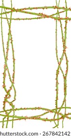 A 3D render of a stylized, vertical thorn frame. Its tangled vines and sharp spikes create a creepy, graphic ideal for Halloween invitations and horror designs.
