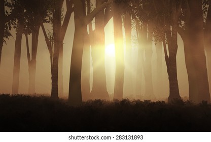 3D render of the sun shining through a foggy forest