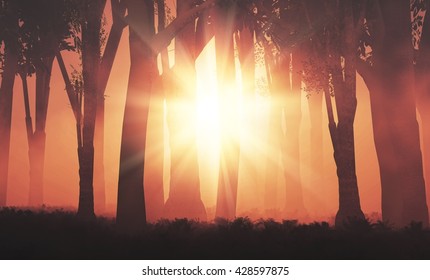 3D render of the sun shining through a foggy forest