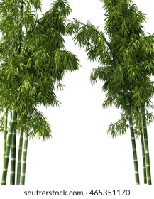 Bamboo Tree Images, Stock Photos & Vectors | Shutterstock