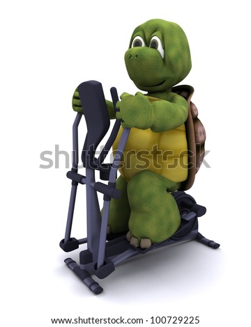 3d render of a tortoiserunning on a cross trainer