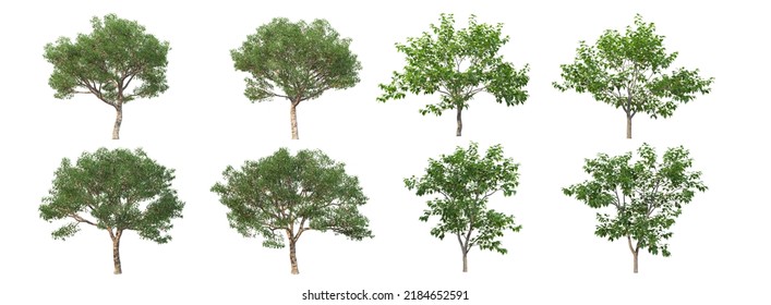 Tree Brush Set - Photoshop brushes