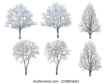 3d render Trees and mountains in winter on a white background with clipping paths.	
