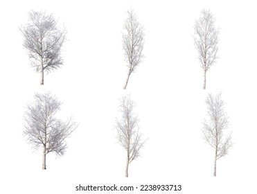 3d render Trees and mountains in winter on a white background with clipping paths.	
