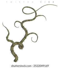 3D render of a vine twisted isolated illustration