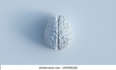 3d Render Of White Human Brain With 2 Sides Include 1 Shattered Side, Top View Minimalist Concept On White Background.