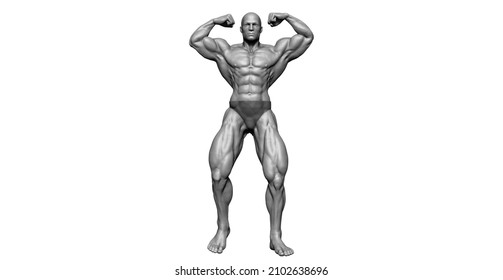 Front Double Bicep Pose Images Stock Photos Vectors Shutterstock