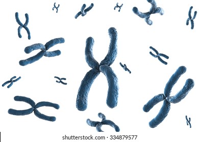 3d Rendered Blue Chromosome On White Background