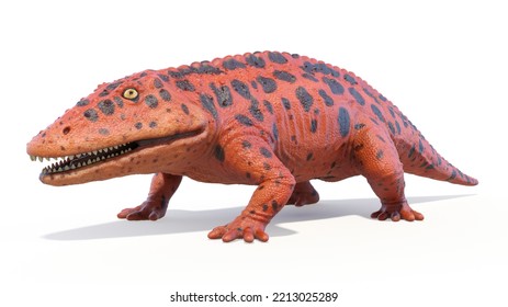 3d Rendered Dinosaur Illustration Of The Eryops