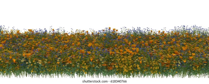 3d Rendered  Flowers And Green Grass Field With Alpha Channel