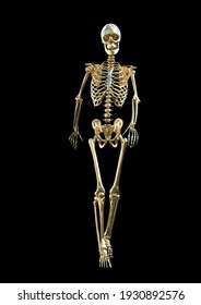 3D Rendered Golden Skeleton  Walking