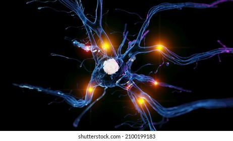 3d Rendered Illustration Of An Active Nerve Cell