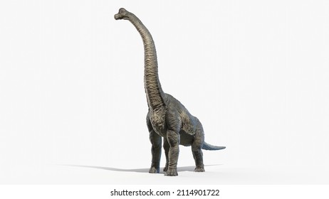 3d rendered illustration of a Brachiosaurus