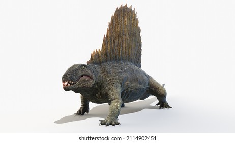 3d rendered illustration of a Dimetrodon