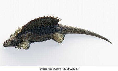 3d rendered illustration of a Dimetrodon