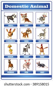 3d Rendered Illustration Of Domastic Animal Chart
