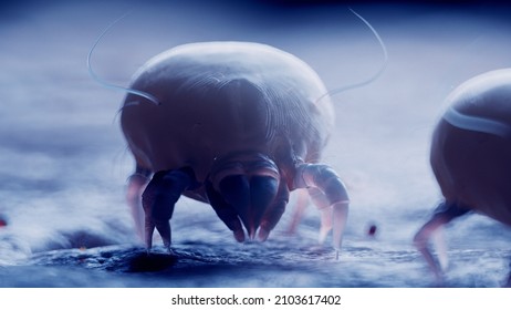 1,199 Mites 3d Images, Stock Photos & Vectors | Shutterstock