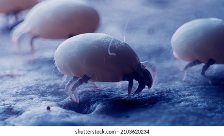 1,199 Mites 3d Images, Stock Photos & Vectors | Shutterstock